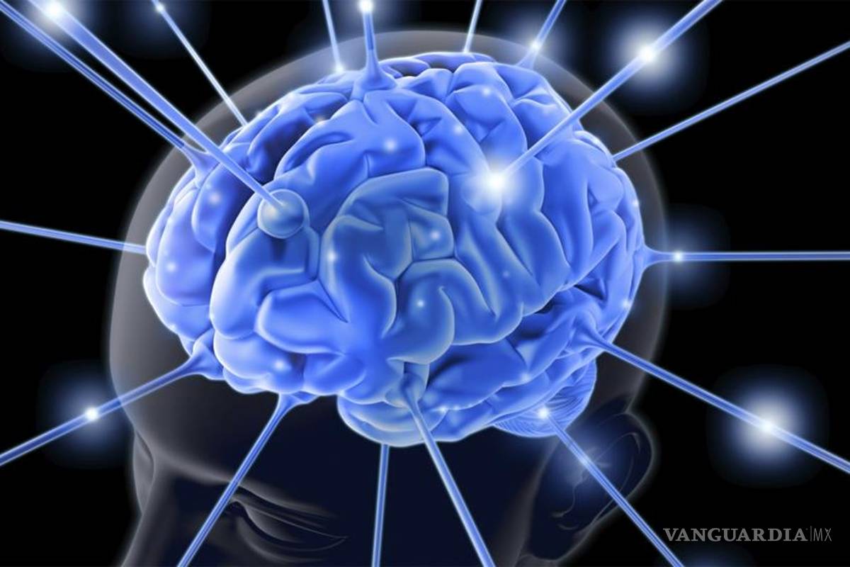 Dormimos para "lavar" el cerebro: Estudio Dormimos para "lavar" el cerebro: Estudio