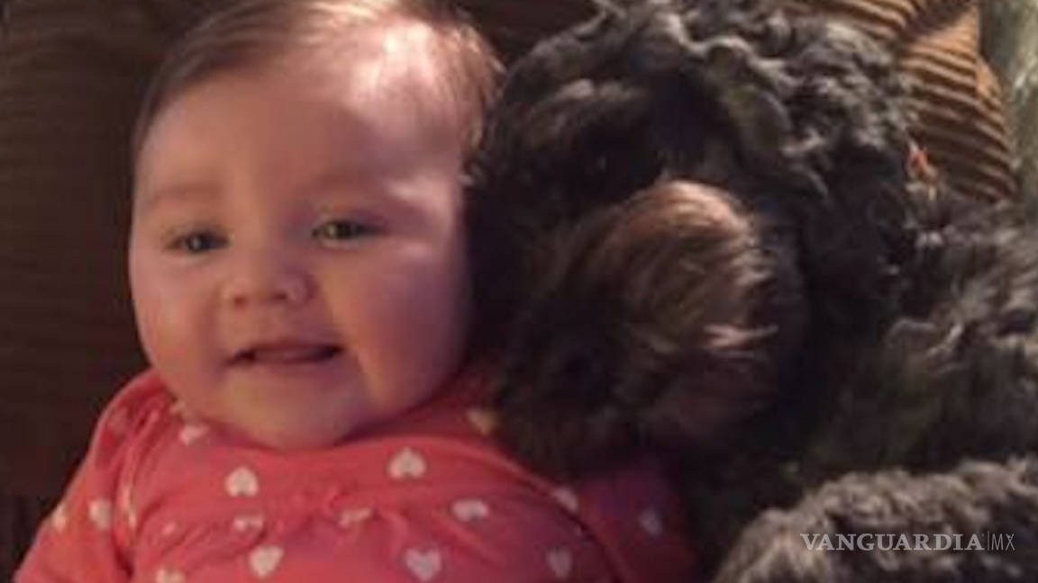 El perro salvó la vida de la bebé en medio de un incendio