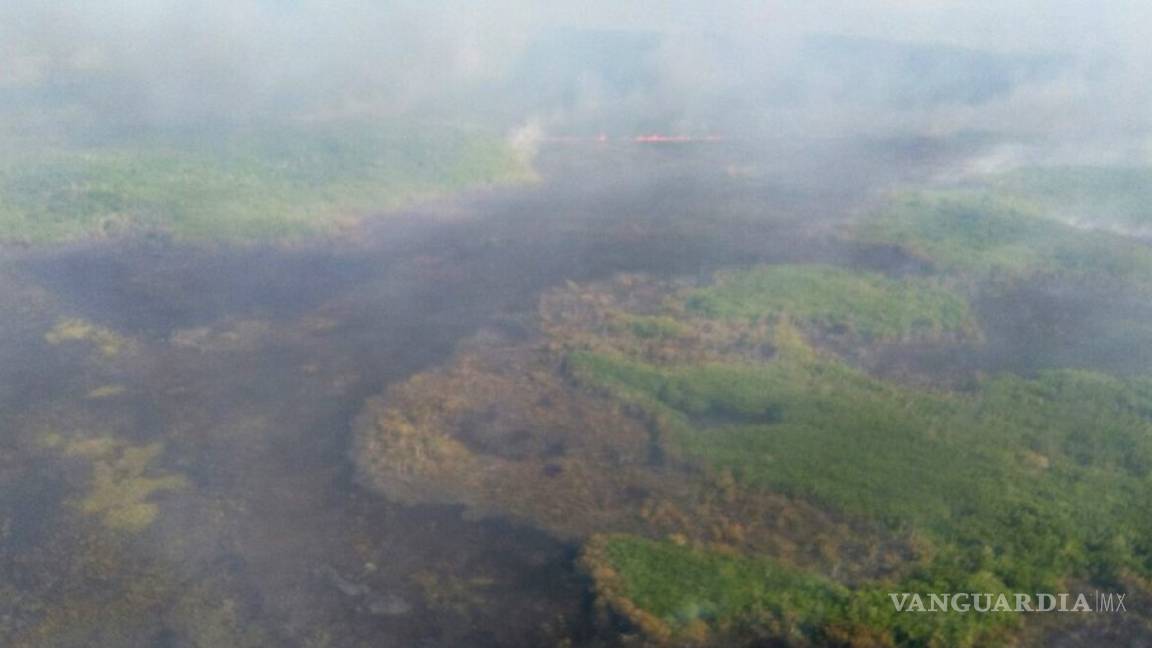 Incendio consume reserva de Dzilam en Yucatán