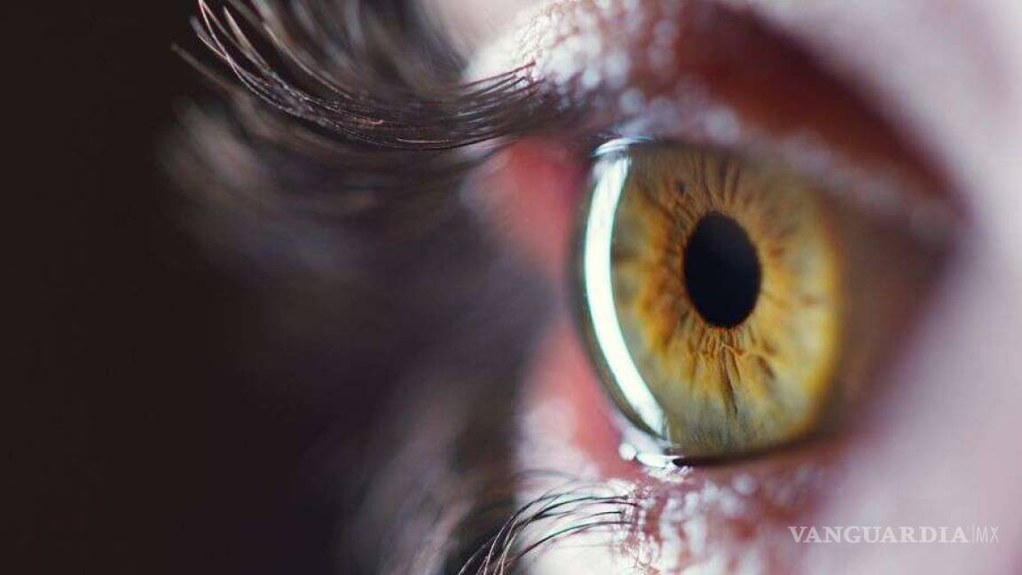 Crean un ojo artificial capaz de imitar la resolución de la visión humana