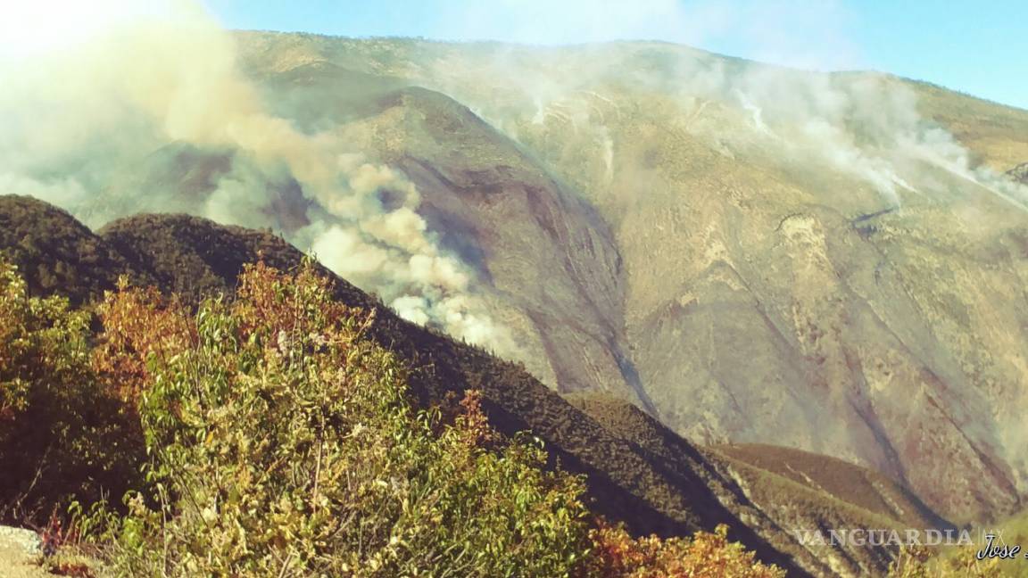 Activo incendio de Mesa de las Tablas; se han consumido 200 hectáreas