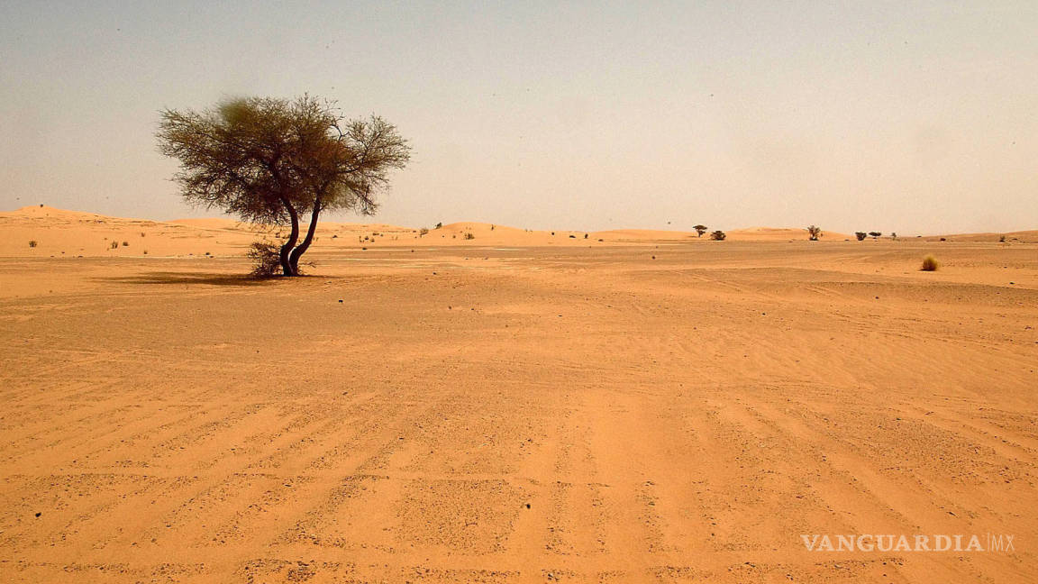 La mitad del planeta, en riesgo de volverse un desierto: científicos