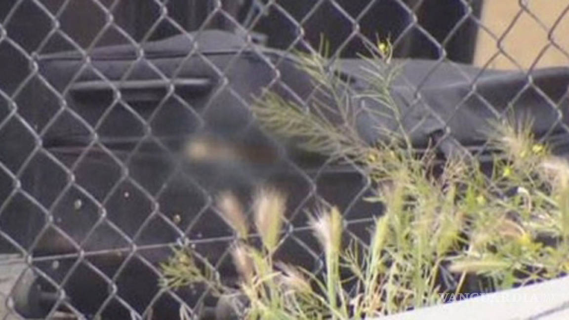 Hallan cadáver de mujer dentro de maleta abandonada en San Diego