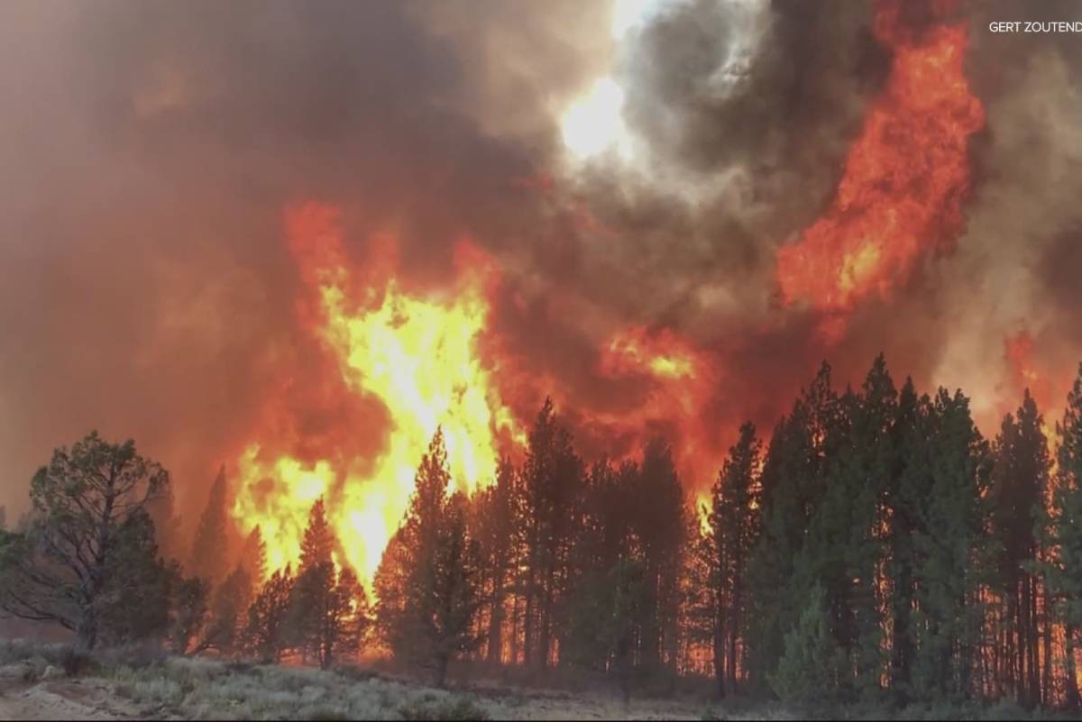 El Mayor Incendio Activo En Eu Ya Supera Las Mil Hect Reas Calcinadas