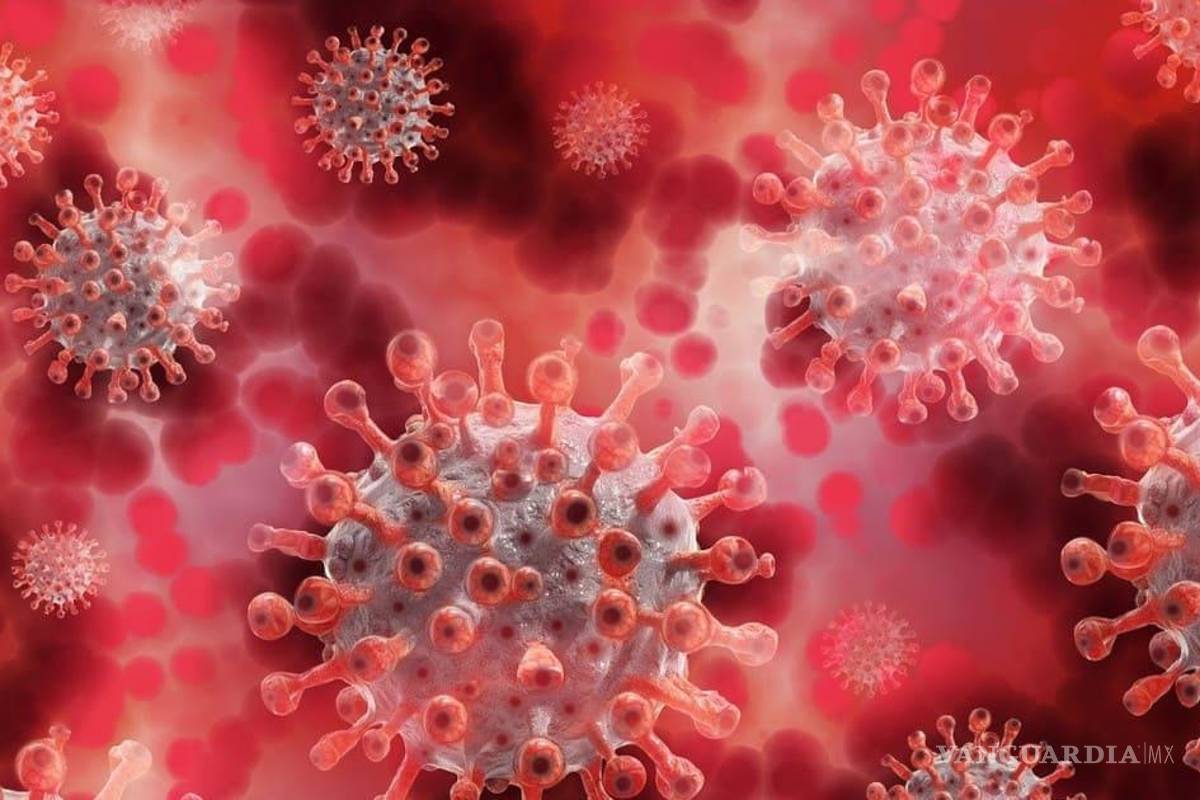 Detectan en México primer caso de ‘centauro’, subvariante COVID-19 Detectan en México primer caso de ‘centauro’, subvariante COVID-19
