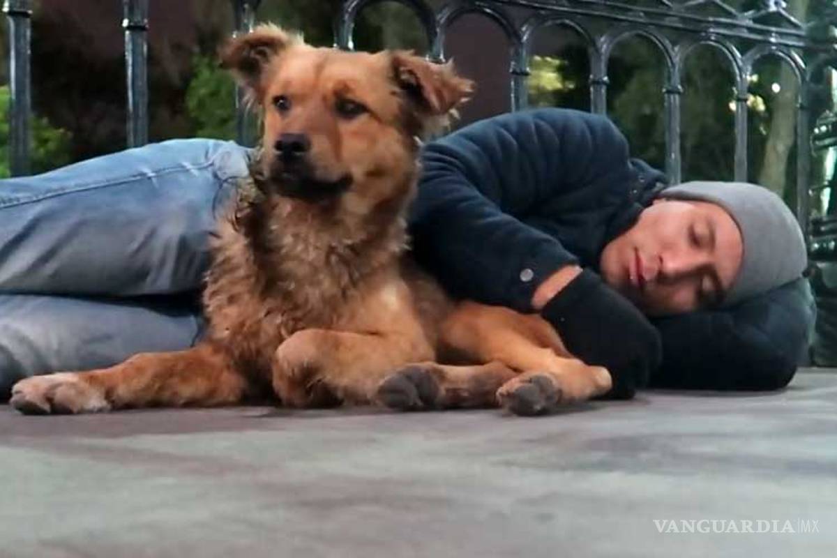 Youtuber pasa la noche en las calles de Ecatepec, Edomex, para ver si es tan peligroso como lo pintan Youtuber pasa la noche en las calles de Ecatepec, Edomex, para ver si es tan peligroso como lo pintan