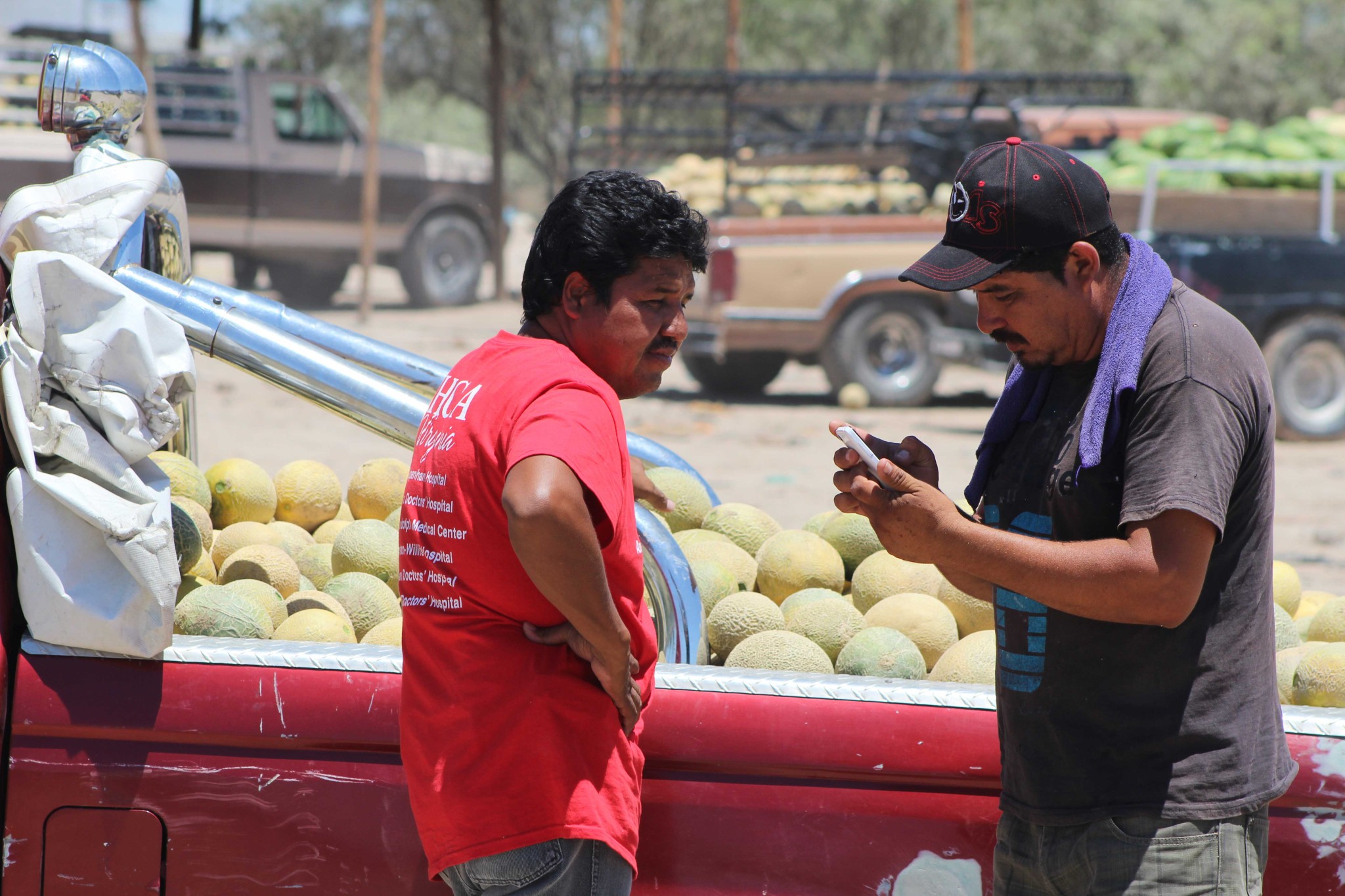 $!¿Qué hay detrás del melón más sabroso de México?