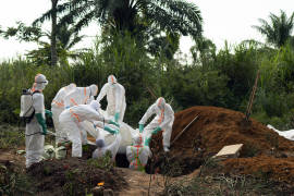OMS declara emergencia mundial por brote de ébola en República Democrática del Congo