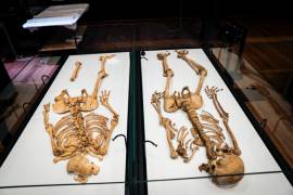 Dos esqueletos emparentados de la era de los vikingos se reunirán en exposición