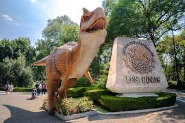 Por segunda ocasión el Museo del Desierto monta una exposición de fósiles y réplicas de dinosaurios en la Ciudad de México; en esta ocasión fue instalada en Los Pinos.