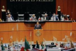 PEF 2022 consolidará recuperación económica, asegura Ramírez de la O