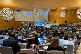 Delegados de 200 países inician negociaciones de dos semanas, en el marco de la OMPI, para adoptar un tratado internacional sobre recursos genéticos y conocimientos tradicionales.