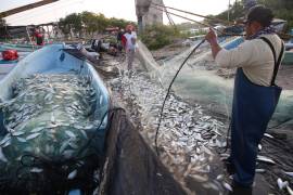 Consideran que ante la violencia en alta mar, la pesca debe ser considerada un asunto de seguridad nacional.