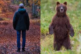 En un curioso planteamiento, las mujeres mostraron su preferencia por estar con un oso