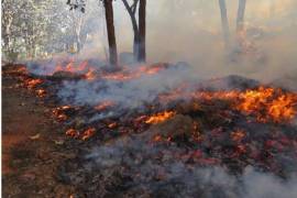 La Sader reconoció que la quema de parcelas es una práctica ancestral, pero advirtió de que aumenta el riesgo de incendios forestales