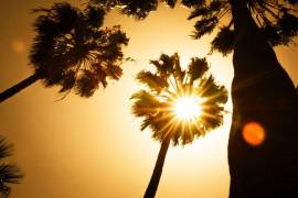 Se mantendrá el ambiente muy caluroso a extremadamente caluroso en Baja California, Sonora, Sinaloa y Chihuahua y otros estados del país.