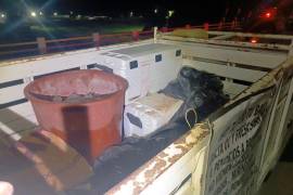 La Fiscalía de Veracruz confirmó el hallazgo de dos camionetas redilas abandonadas sobre un puente de Tuxpan, dentro de las cuales se encontraban los cuerpos de las víctimas, aparentemente migrantes
