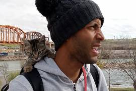 Simba, el gato migrante que se hizo viral en Piedras Negras, logra estancia en EU junto a sus dueños