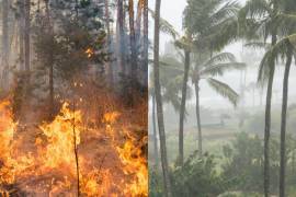 La Coordinación de Protección Civil y Gestión de Riesgos alertó a Oaxaca por posible huracán, mientras el estado enfrenta una serie de incendios forestales.