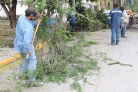 Cuadrillas de la dependencia realizan tareas de jardinería, rastrillado, poda y retiro de desechos en diferentes zonas de la ciudad, como la colonia Jacarandas y el Centro.