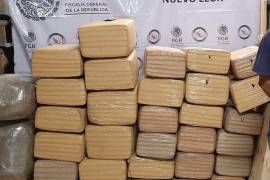 La droga fue decomisada al exterior de una empresa de paquetería en el municipio de San Nicolás de los Garza, Nuevo León/FOTO: CORTESÍA
