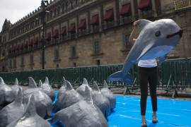 En esta foto del 8 de julio de 2017, una mujer del Fondo Mundial para la Naturaleza carga una réplica en papel maché de la vaquita marina en peligro crítico de extinción en la Ciudad de México.