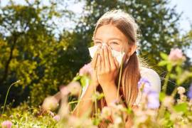 Durante el inicio de primavera es cuando más alergias se registran, por eso se llama a que se extremen cuidados.