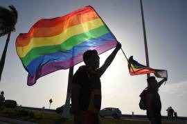 La comunidad LGBTIQ+ busca una mayor representatividad en el Poder Legislativo.