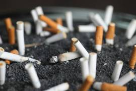 La tasa de fumadores adultos ya es baja en Nueva Zelanda, donde alcanza el 8%