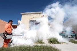 Acciones permanentes en Coahuila contra el dengue, zika y chikungunia