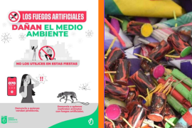 El estado de Nuevo León solicitó a los ciudadanos denunciar el uso de pirotecnia durante celebraciones de Año Nuevo.