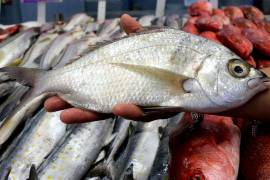 Pescadores de la presa La Amistad estiman 60 toneladas de producto