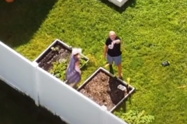 El primer video, que es un acercamiento de la madre de Brian Laundrie acercando su mano a la orilla del sembrado, tiene ya más de 1 millón de visualizaciones.