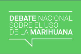 ¿Cómo funciona la plataforma sobre el debate nacional para el uso de la mariguana?