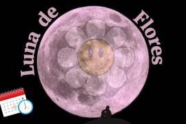 Luna de Flores 2024: ¿Qué es y cuándo se verá en México?