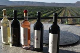 La industria vinícola en Coahuila ha experimentado un notable crecimiento, con 9 municipios productores que ofrecen una amplia variedad de 150 etiquetas y una producción anual de 4 millones de botellas.
