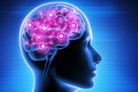 A medida que el cerebro envejece, la musicoterapia se revela como un aliado invaluable para mantener la plasticidad cerebral y combatir el deterioro cognitivo.