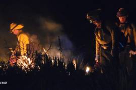El incendio forestal se originó en San Luis Potosí pero se extendió hasta la sierra de Doctor Arroyo, en Nuevo León