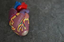 La fibrilación auricular, una cardiopatía frecuente que aumenta el riesgo de accidente cerebrovascular.