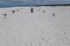 Acusan privatización de playa en Yucatán