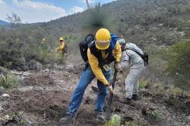 En el lugar se continúan con los trabajos de control y liquidación del incendio forestal que inició por el lado de San Luis Potosí y se extendió a Nuevo León