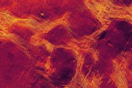 Movimientos en la superficie de Venus revelan su actividad tectónica