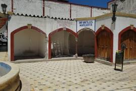 Pésimas condiciones de higiene y mantenimiento en los comercios del mercado de Parras, un lugar visitado por turistas.