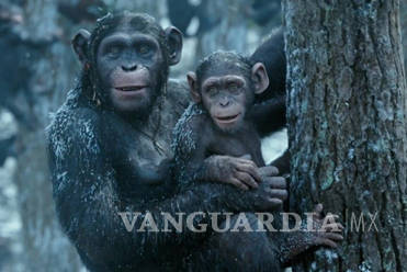 $!War for the Planet of the Apes: Una Guerra con Humanos