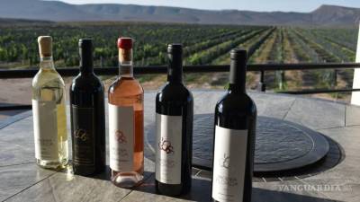 La industria vinícola en Coahuila ha experimentado un notable crecimiento, con 9 municipios productores que ofrecen una amplia variedad de 150 etiquetas y una producción anual de 4 millones de botellas.