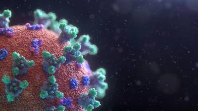 Los científicos que estudian la evolución continua del virus y las respuestas inmunitarias del organismo.