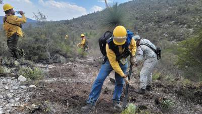 En el lugar se continúan con los trabajos de control y liquidación del incendio forestal que inició por el lado de San Luis Potosí y se extendió a Nuevo León