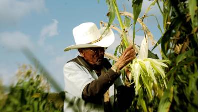 Ante un escenario de sequía y menos tierra disponible para sembrar, la utilización de fertilizantes es la principal herramienta para aumentar la productividad de los cultivos, destacó Rodríguez
