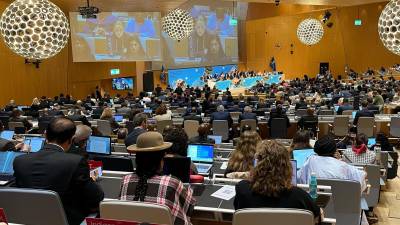 Delegados de 200 países inician negociaciones de dos semanas, en el marco de la OMPI, para adoptar un tratado internacional sobre recursos genéticos y conocimientos tradicionales.
