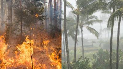 La Coordinación de Protección Civil y Gestión de Riesgos alertó a Oaxaca por posible huracán, mientras el estado enfrenta una serie de incendios forestales.